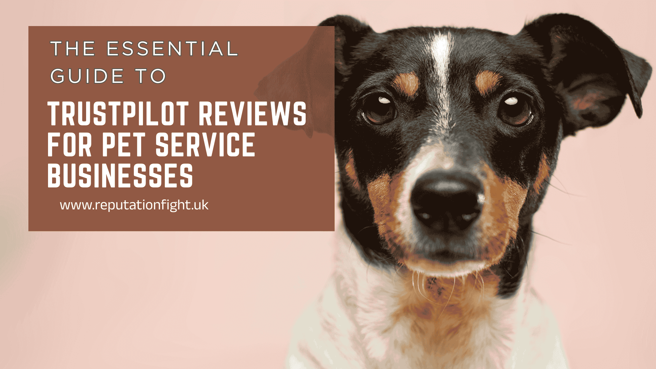 Master Trustpilot to Build Trust & Grow Your Pet Business